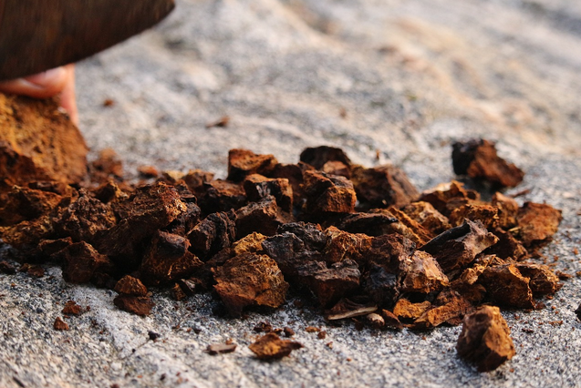 dried